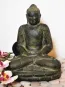 morepic-1