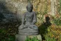 morepic-1
