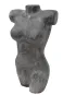 morepic-1
