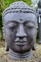 morepic-1