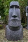 morepic-1