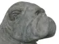 morepic-1