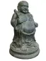 morepic-1