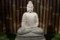 morepic-1