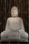 morepic-1