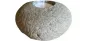 morepic-1
