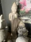 morepic-1