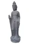 morepic-1