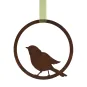 morepic-1
