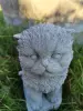Artikelbild 2 des Artikels “Katze, 