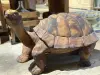 Artikelbild 2 des Artikels “Schildkröte, 80 cm “