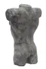 Product image 2 of the product “Male torso, ca. 50 cm H ”
