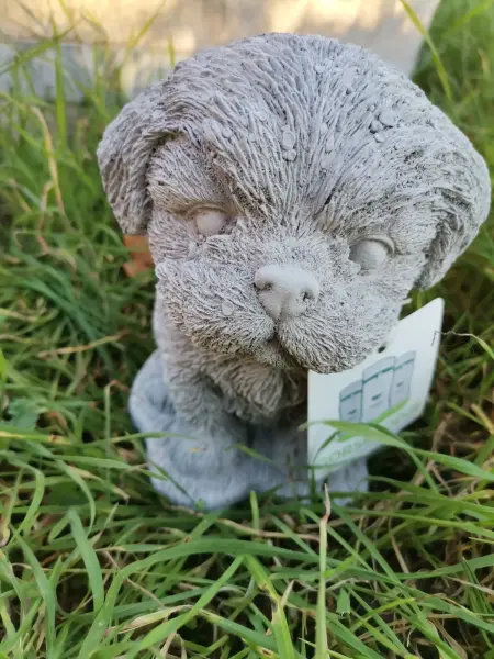 Artikelbild 2 des Artikels “Hund, kleiner Welpe 
