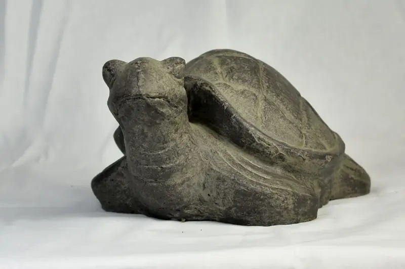 Artikelbild 2 des Artikels “Schildkröte, ca. 25 cm lang “