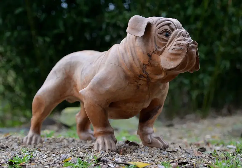 Artikelbild 2 des Artikels “Französische Bulldogge, 75 cm “