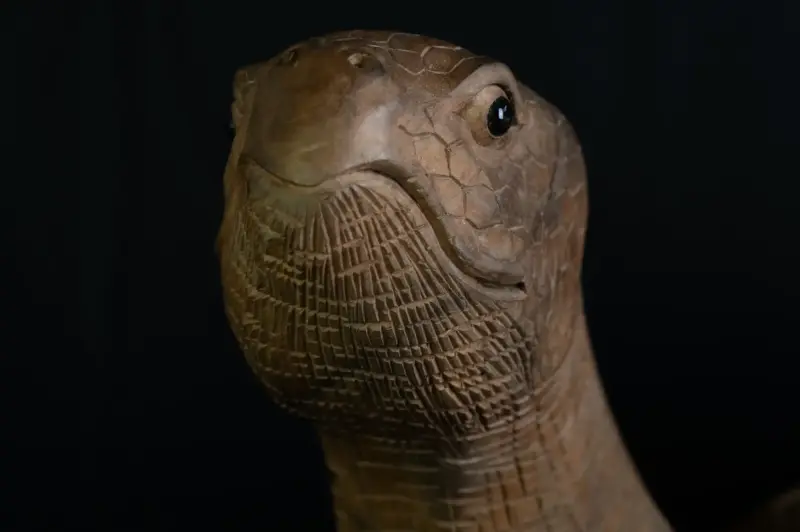 Artikelbild 2 des Artikels “Schildkröte, 100 cm “