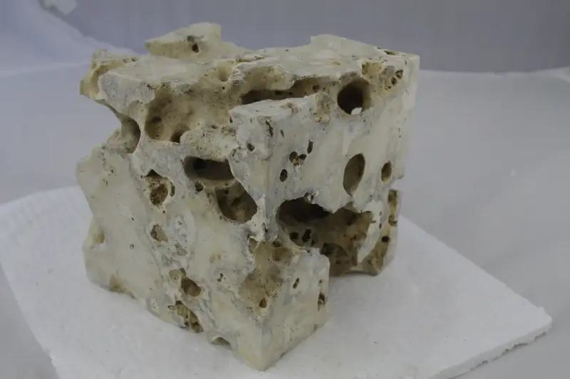 Product image 2 of the product “shell limestone as cube, 15x15cm ”