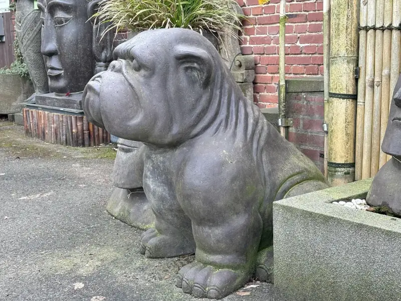 Artikelbild 2 des Artikels “sitzende Bulldogge ca 115cm, Steinguss hohl. “
