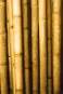 morepic-2