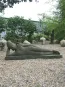 morepic-2