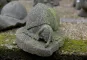 morepic-2
