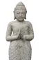 morepic-2