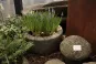 morepic-2