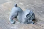 morepic-2