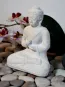 morepic-2