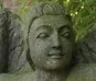morepic-2