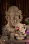 morepic-2