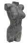 morepic-2