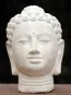 morepic-2