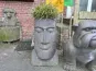 morepic-2