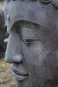 morepic-2