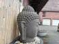 morepic-2