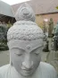 morepic-2