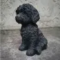 morepic-2