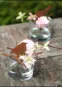 morepic-2