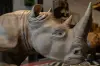 Artikelbild 3 des Artikels “Nashorn, 120 cm “