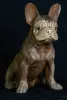 Artikelbild 3 des Artikels “Französische Bulldogge sitzend – Holzskulptur für Tierliebhaber “