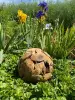 Artikelbild 3 des Artikels “Holz Ball aus Teak “