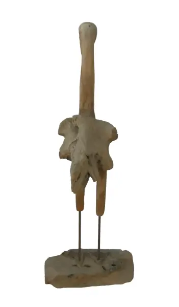 Artikelbild 3 des Artikels “Flamingo, hergestellt aus Teakholz-Wurzelstücken, ca. 1,10 mtr hoch. 2 Teile, Metallfüße. “