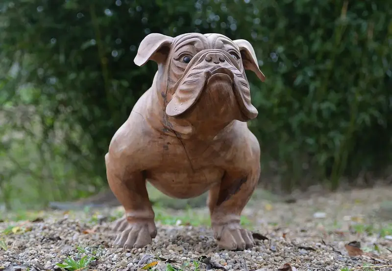 Artikelbild 3 des Artikels “Französische Bulldogge, 75 cm “