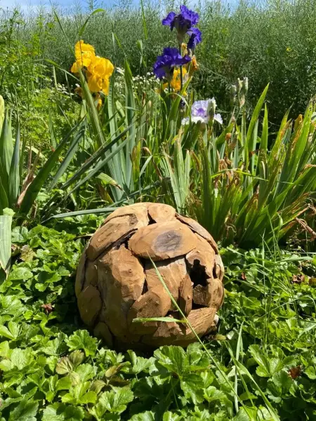 Artikelbild 3 des Artikels “Holz Ball aus Teak “
