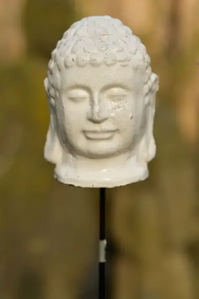 Artikelbild 3 des Artikels “Buddhakopf als Gartenstecker “