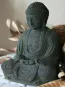 morepic-3