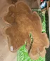 morepic-3