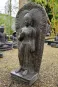 morepic-3