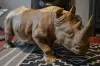 Artikelbild 4 des Artikels “Nashorn, 120 cm “